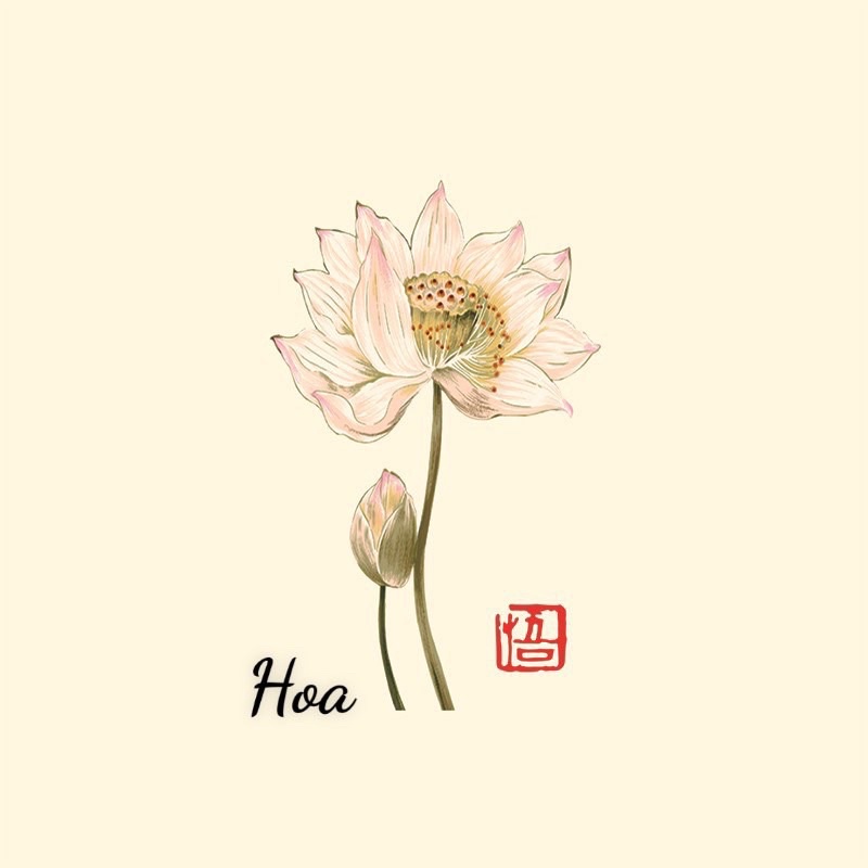 Hộp đựng vòng tay hình hoa sen ,bộ trang sức hàng mới hot