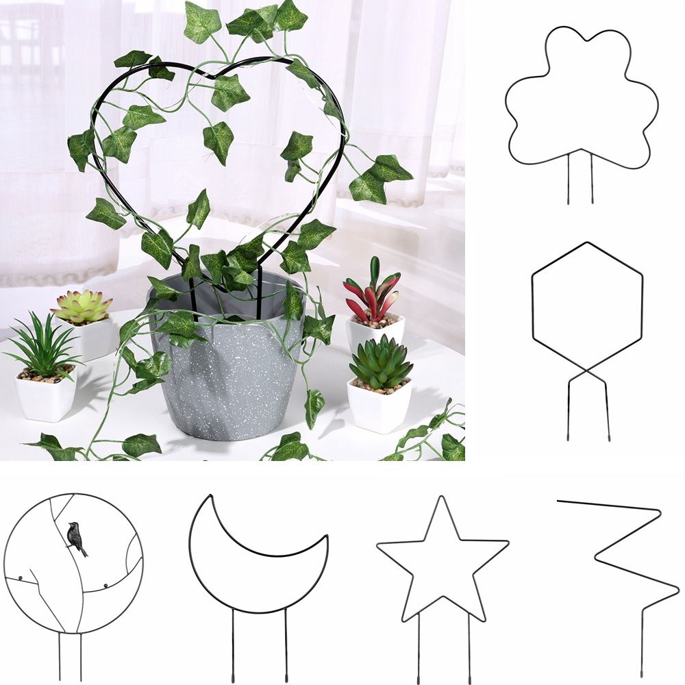 Conopery CONOPERYKhung trồng cây dây leo  bằng sắt nhiều hình dạng tiện dụng cho sân vườn