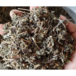 Chè dây Cao Bằng - chữa bệnh dạ dày (túi 1kg)