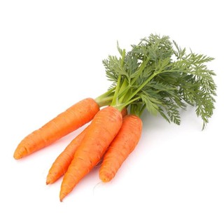 hạt giống củ cà rốt gói 5gr