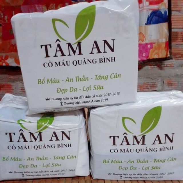 cỏ máu Tâm An Quảng Bình