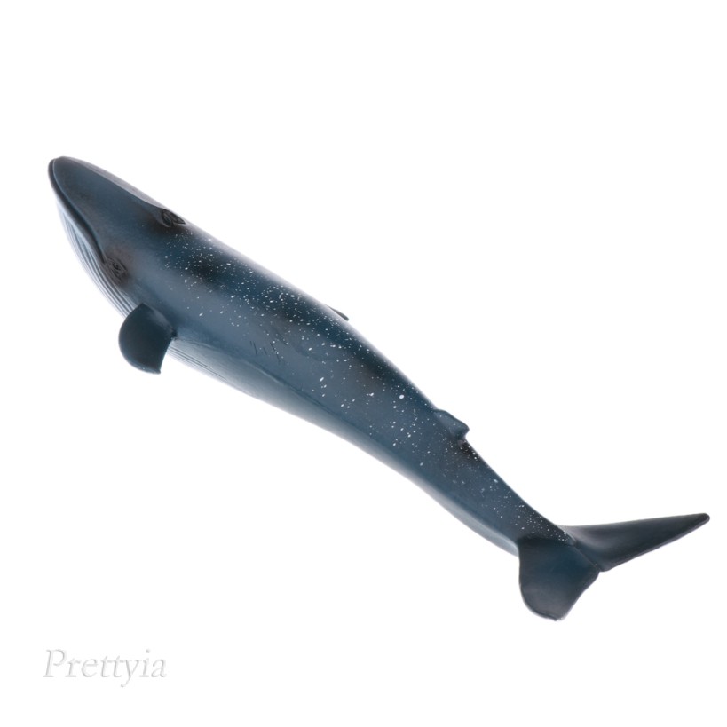 WHALE Mô Hình Đồ Chơi Cá Voi Xanh Bằng Nhựa 22cm