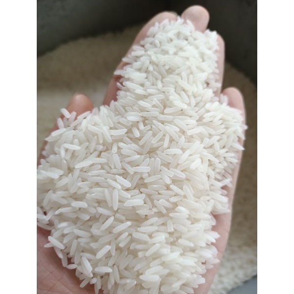 Gạo Nàng Hoa - Dẻo mềm,ngọt,thơm cơm.(Bao 10kg).