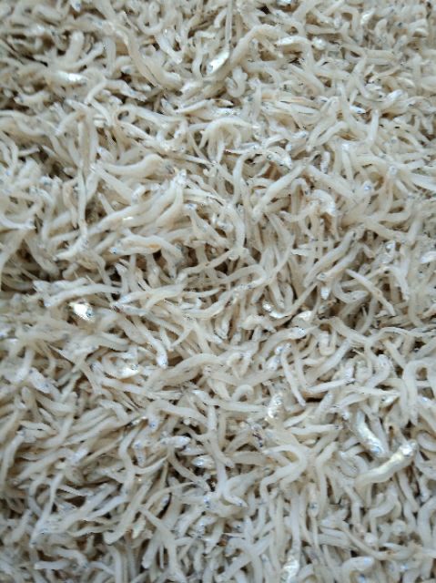 1kg cá cơm mờm sữa - cá cơm trắng - cá cơm khô