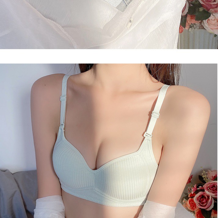 Áo lót ngực nữ sinh cotton không gọng mút đệm mỏng, thoáng mát  NuciFera AL41 | BigBuy360 - bigbuy360.vn