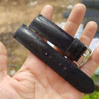 Dây đồng hồ cá đuối màu đen