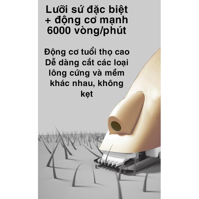 Tông Đơ Cạo Cắt Lông Bàn Chân Tỉa Lông Mắt Lông Tai Đuôi Cho Chó Mèo LANGBA LBA102