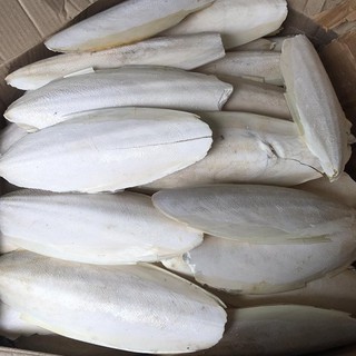 Nang mực 1kg loai to dài 30cm