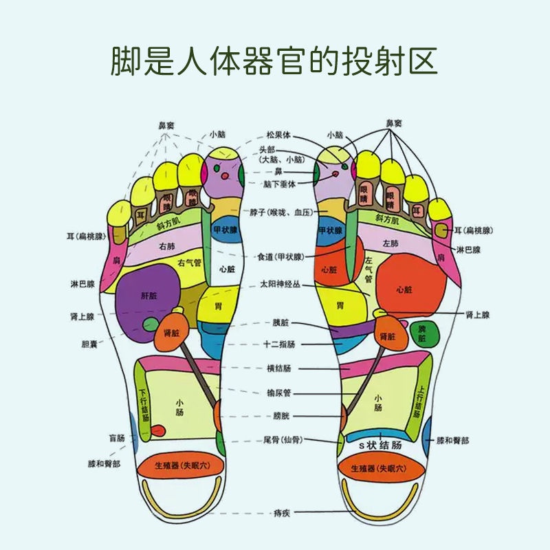 Dép Nhựa Đi Trong Nhà Tắm Chống Trượt Phong Cách Hàn Quốc Hoạt Hình Dễ Thương Cho Nữ