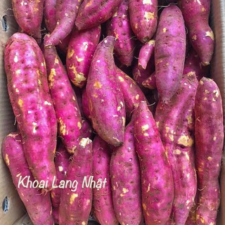 GIAO HOẢ TỐC Khoai Lang Nhật 1kg giao nhanh TPHCM