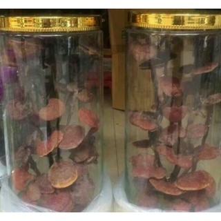 Nấm lim xanh Tây Bắc [500gr -1kg]