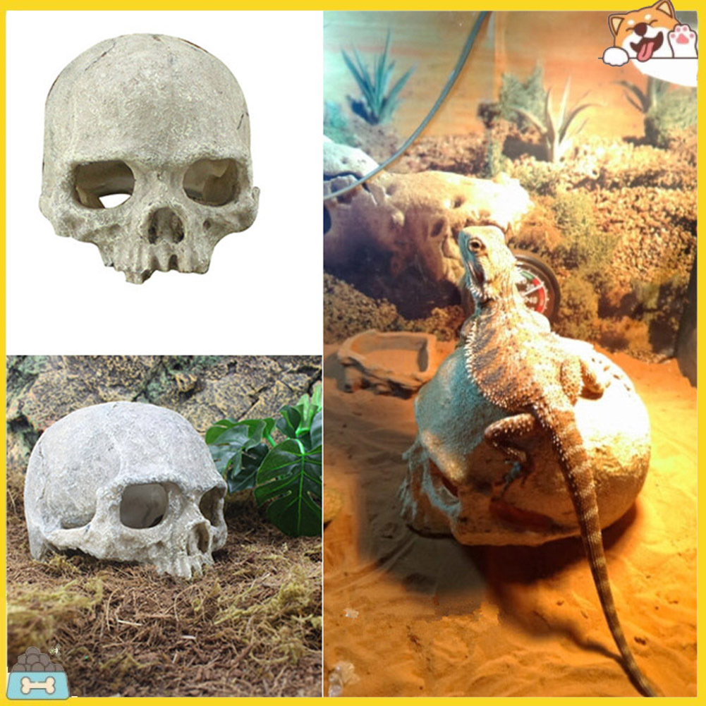 Mô hình đầu lâu bằng nhựa tạo hình trang trí bể cá độc đáo