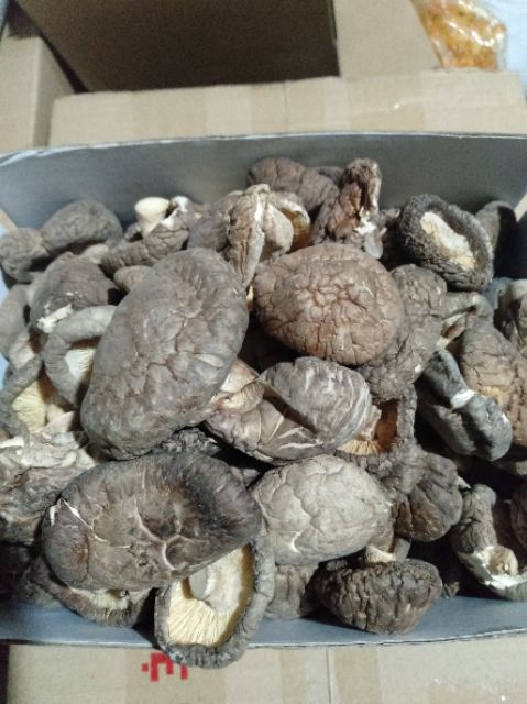 nấm đông cô dùng để nấu canh,lẩu,xào..🍄🍄 [100g]