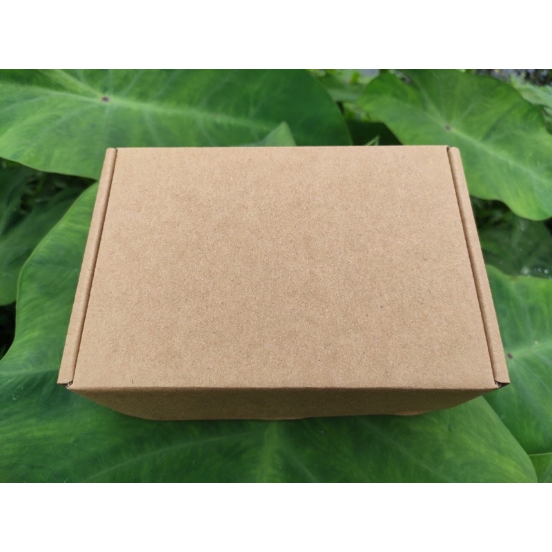 Hộp carton nắp gài đựng phụ kiện size 15x10x5