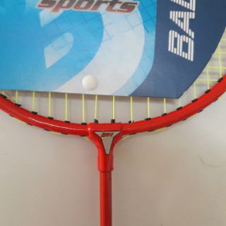 VỢT CẦU LÔNG PALEDAS PRO 336