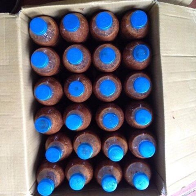 5lit sỉ lẻ mắm tép loại ngon nhất(đóng 10 hoặc 16 chai) | BigBuy360 - bigbuy360.vn