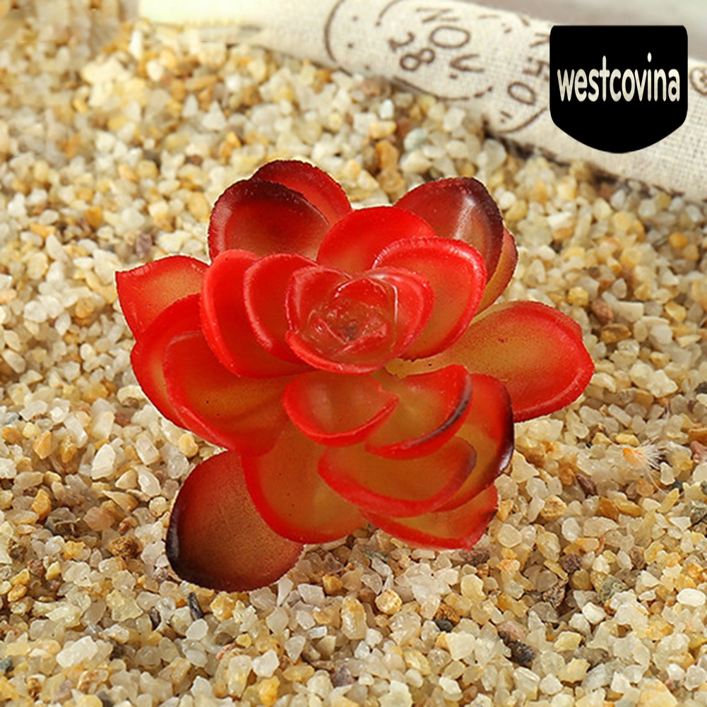 [Hot]☀ 1 Cây Mọng Nước Nhân Tạo Nhiều Màu Sắc Dùng Trong Trang Trí