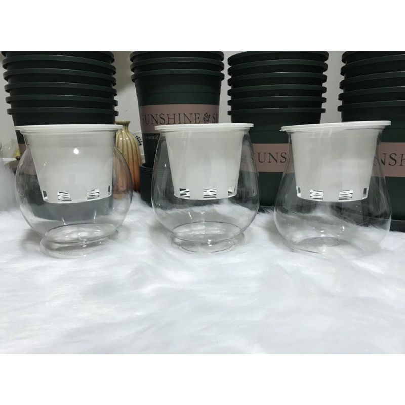 Chậu Nhựa trồng cây Thủy Sinh_thủy canh_bình nhựa trồng cây thủy sinh_lọ trồng cây