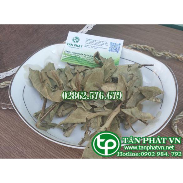 Lá vối khô 1kg - Tấn Phát