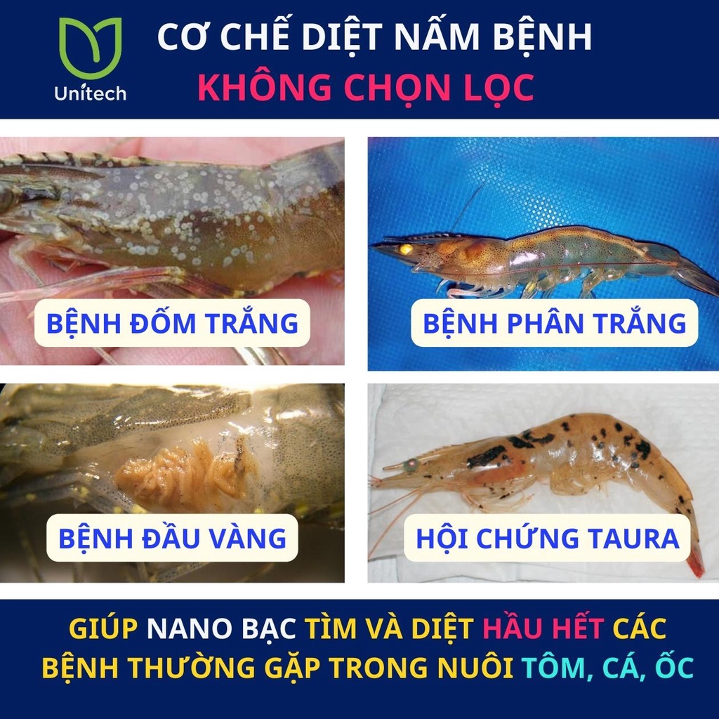 Nano bạc xử lý nước ao nuôi Unitech 1000 PPM  - Khử mùi tanh, làm trong nước, phòng nấm khuẩn cho tôm, cá, ốc