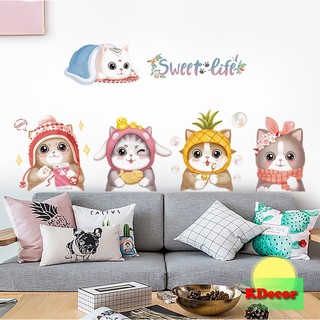 Decal dán tường Mèo con xinh xắn