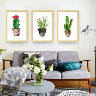 Tranh in canvas hoa xương rồng 30x40 kèm khung
