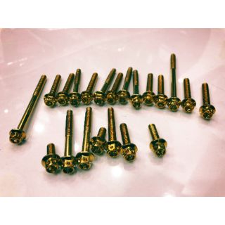 Ốc lốc máy cho Exciter và Winner