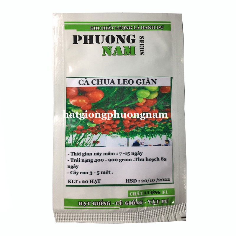 20H - HẠT GIỐNG CÀ CHUA LEO GIÀN