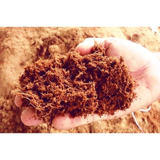 1kg Mùn xơ dừa giá thể trồng cây
