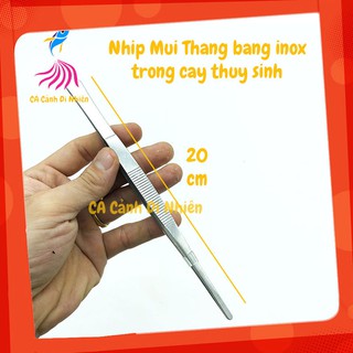 Nhíp trồng cây thủy sinh bằng inox size 20 - 25 cm