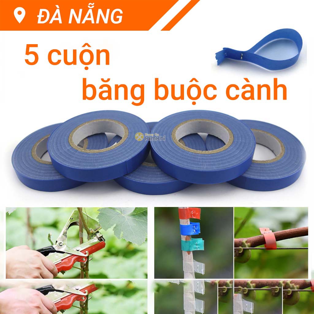 Bộ 5 cuộn băng buộc cành cây