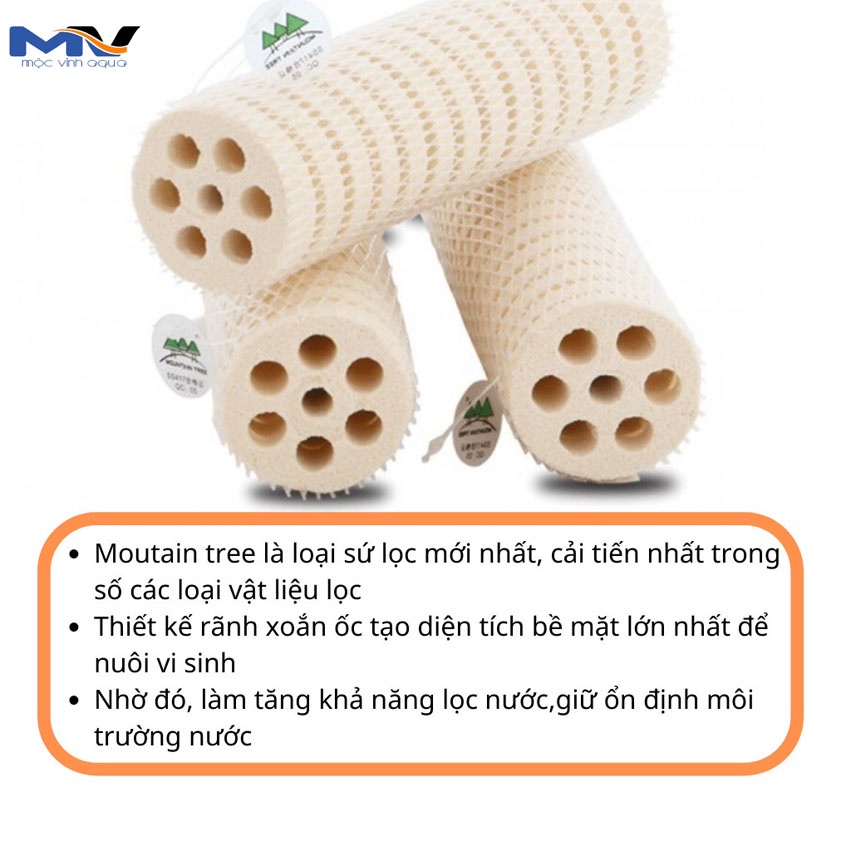 Sứ củ sen, sứ mountain tree thế hệ 1 / thế hệ 3