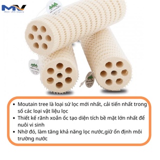 Sứ củ sen, sứ mountain tree thế hệ 1 / thế hệ 3