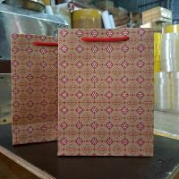 Túi quà tặng ( combo 100 túi số 6 )