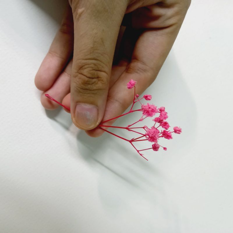 Đầu hoa baby sấy khô dùng trang trí thiệp, ly nước, bánh kem, resin, nến, xà phòng, handmade