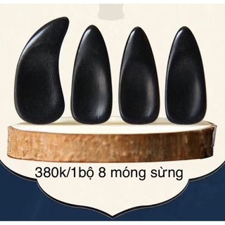 Móng sừng guzheng size  L trên 48kg âm siêu chuẩn