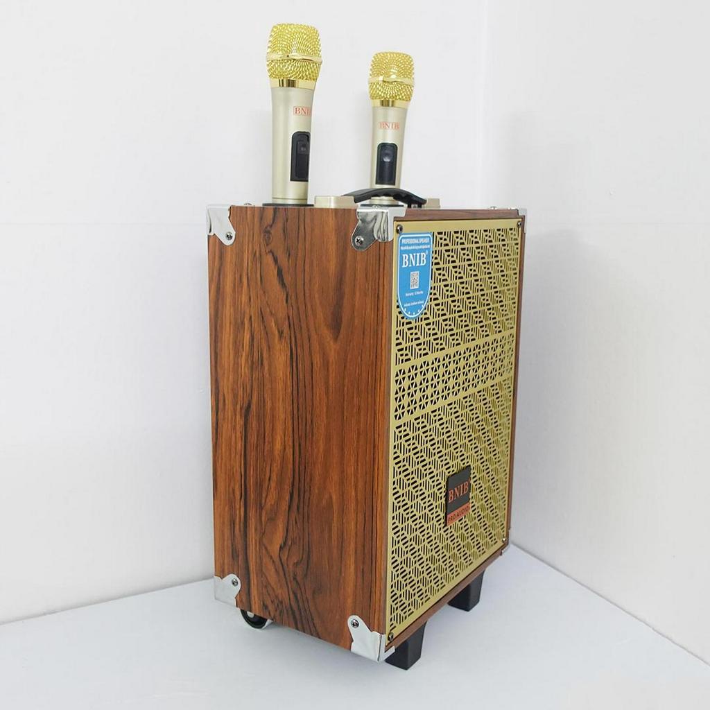 Loa Kẹo Kéo Hát Karaoke Chính Hãng BNIB M8 Bass 20cm, Thiết Kế Vỏ Gỗ Sang Trọng, Âm Thanh Chất Lượng | Bảo hành 12th