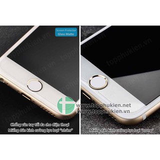 Miếng dán cường lực nhám iPhone 6 / 7 / 8 Plus