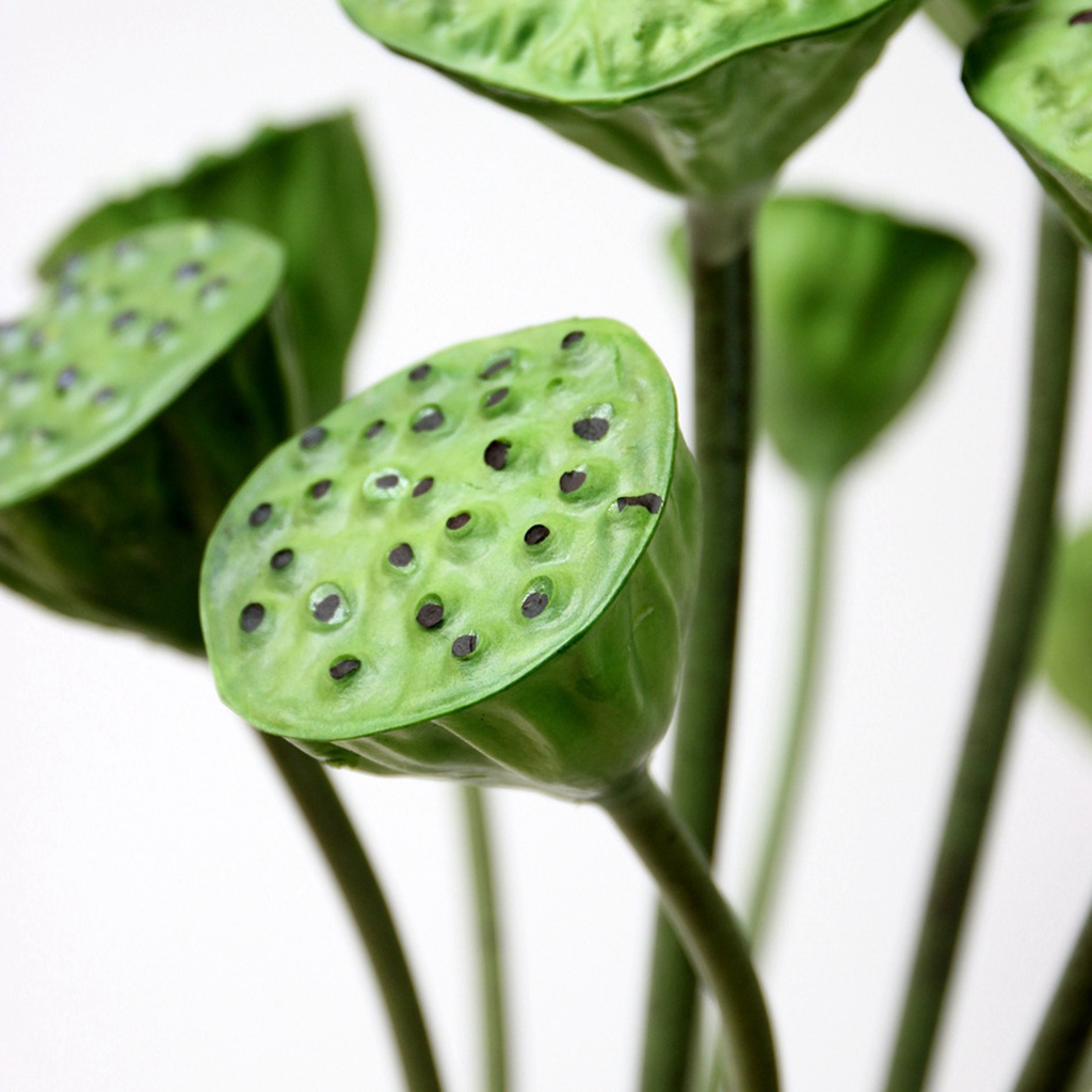 1 Nhánh Hoa Sen Nhân Tạo Chất Liệu Giả Da Chống Rơi Dùng Trang Trí Bàn