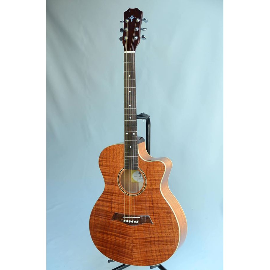 |Trợ Ship 70k| Guitar Trần Acoustic HDF-15