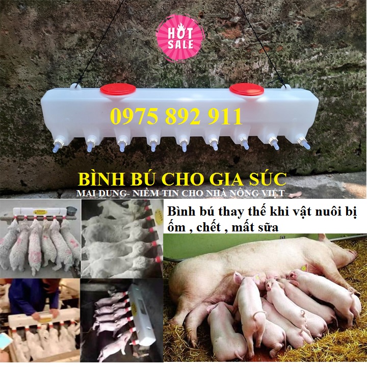 Bình bú cho heo,dê, cừu , chó - hợp với gia súc