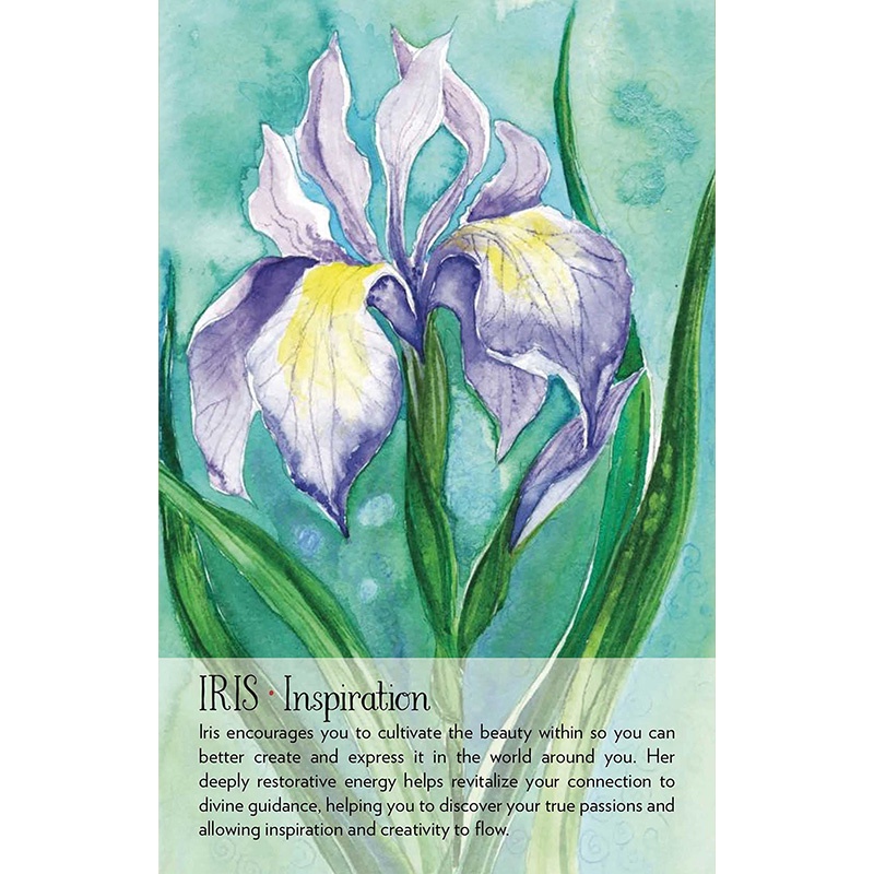 Bộ Bài Soulflower Plant Spirit Oracle  - Bài Gốc Authentic Chính Hãng 100%