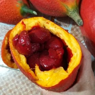 Dầu gấc nhà làm