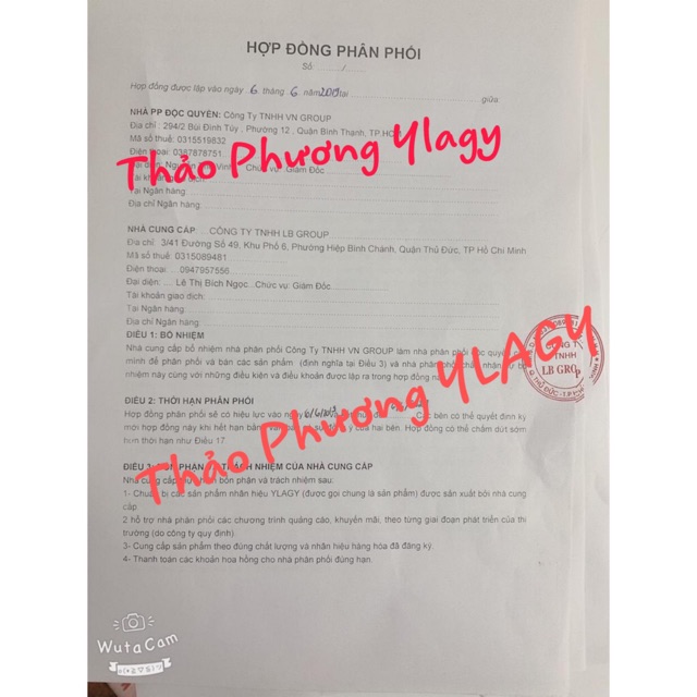 Mỹ phẩm YLAGY - Kem Face YLAGY Ngăn ngừa nám, tàn nhang, dưỡng trắng phục hồi da. | BigBuy360 - bigbuy360.vn