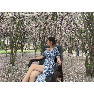 Váy dáng dài xẻ tà tay phồng sang chảnh - Thanh lí 1