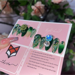 Nails Box thiết kế tone xanh lá