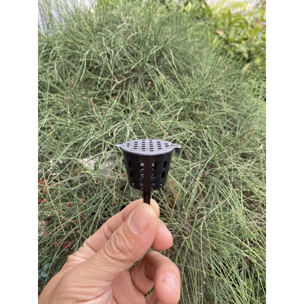 Set 10 giỏ đựng phân tan chậm dùng cho phong lan, cây bonsai