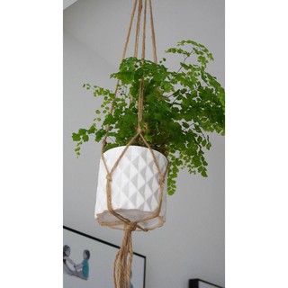 Dây treo chậu cây sợi cói tự nhiên