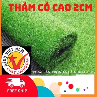 Thảm cỏ nhân tạo cao  2cm sợi  kim  khổ 1m x1m  và khổ 2m 2m x1m,cỏ nhân tạo lót sàn ,cỏ nhựa dán tường trang  trí deco