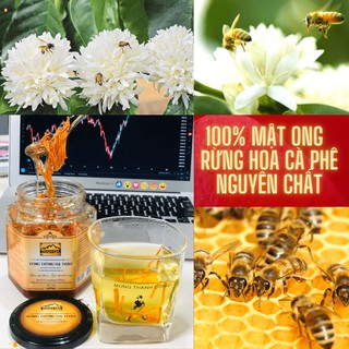 Đông Trùng Hạ Thảo Ngâm Mật Ong 🐝   "Rừng hoa cà phê tây nguyên Loại 1"